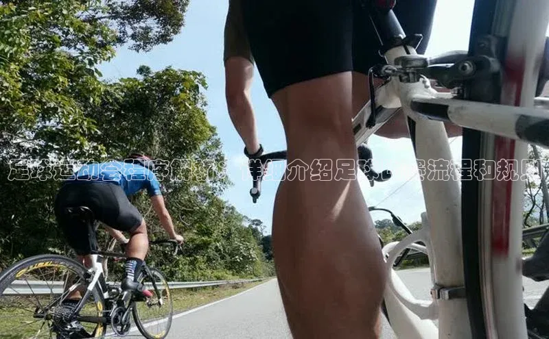 熊猫体育国足直播赛富乐斯足球运动会程序解析：详细介绍足球比赛流程和规则