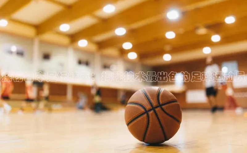 熊猫app下载百度安全社区探秘日本足坛精英：揭秘技术最出色的足球运动员