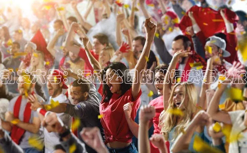 熊猫体育在线观看平台神思电子勃发六号：运动公园的激情赛事之旅