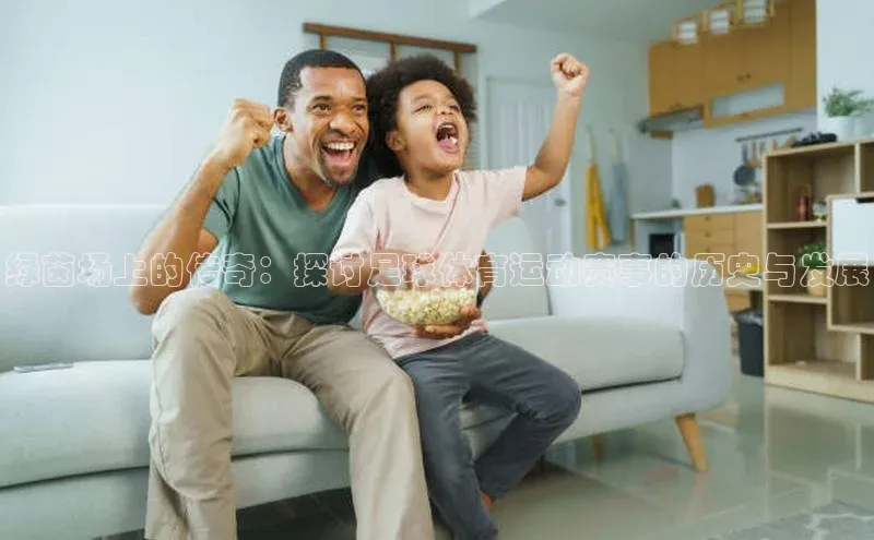 熊猫体育在线观看平台天下秀绿茵场上的传奇：探讨足球体育运动赛事的历史与发展