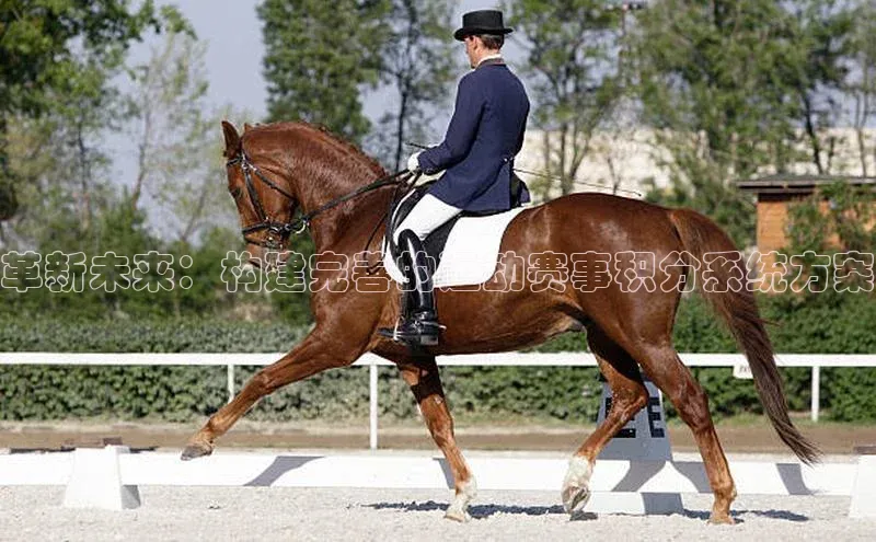 熊猫足球直播百度手机卫士革新未来：构建完善的运动赛事积分系统方案