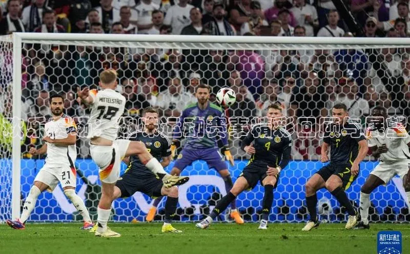 欢乐赛场：趣味运动赛事精彩回顾与展望