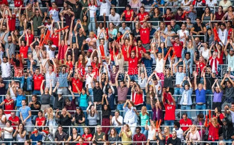 光辉篇章：剖析运动会赛事精彩瞬间与背后故事