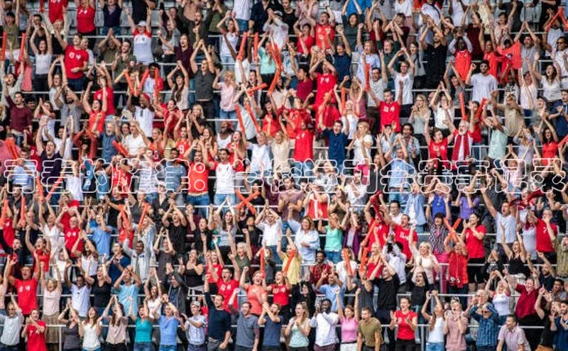 青春的旋律：学校运动会赛事记录