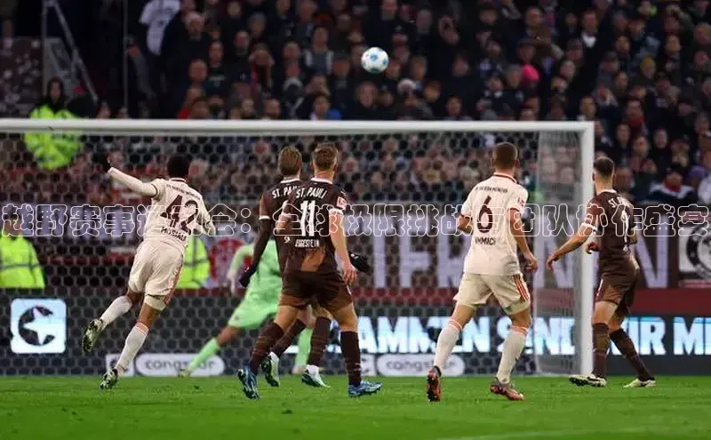 越野赛事运动会：全球极限挑战与团队协作盛宴