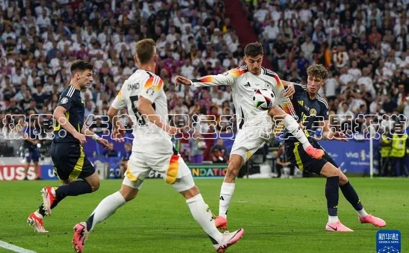 极限：年度极限运动赛事专题报道