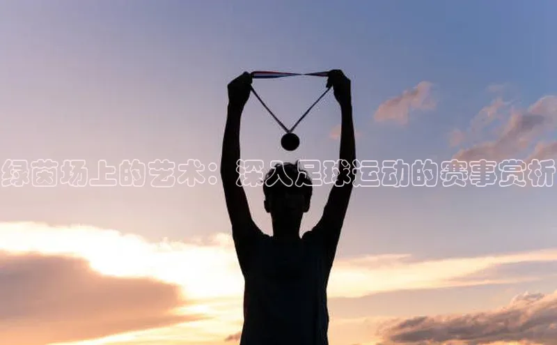 绿茵场上的艺术：深入足球运动的赛事赏析