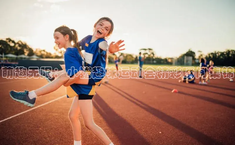 萌趣无限：小猪趣味运动会精彩瞬间集锦