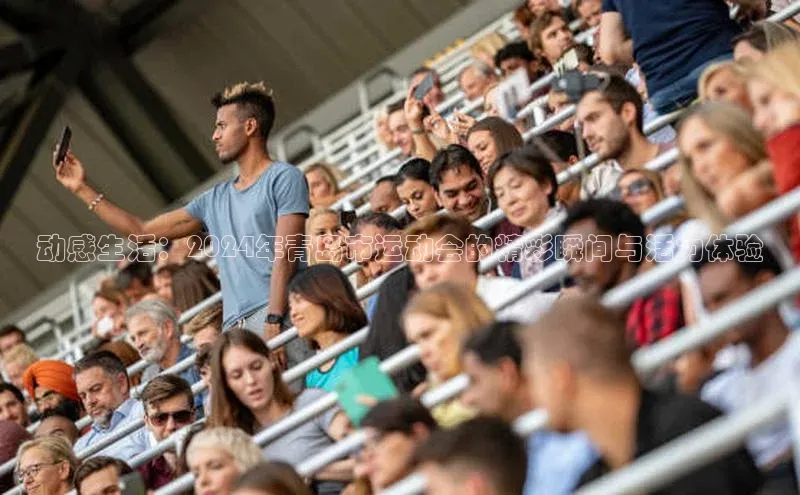 动感生活：2024年青岛市运动会的精彩瞬间与活力体验