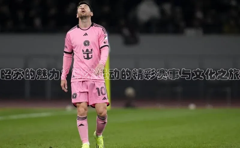 昭苏的魅力：马术运动的精彩赛事与文化之旅