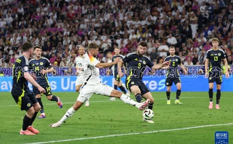 网球运动的巅峰对决：法网公开赛回顾与分析