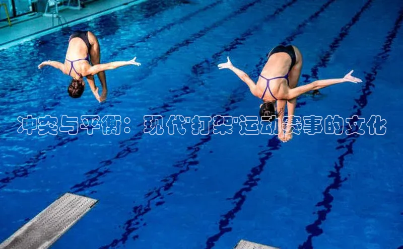 冲突与平衡：现代\'打架\'运动赛事的文化