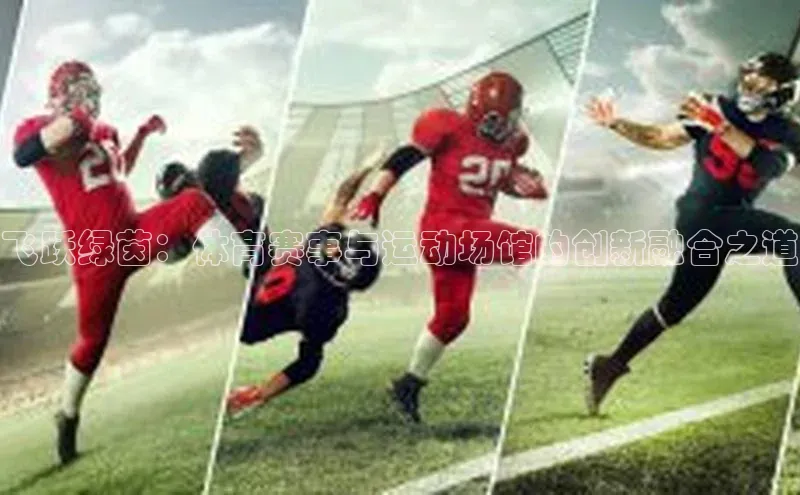 熊猫体育app官方入口