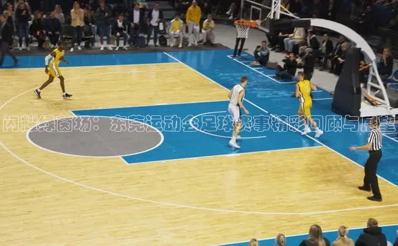 闪耀绿茵场：东莞运动会足球赛事精彩回顾与展望